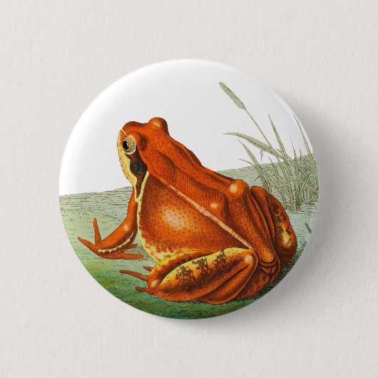 Oranje kikker illustratie ronde button 5,7 cm (Voorkant)