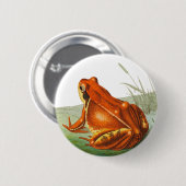 Oranje kikker illustratie ronde button 5,7 cm (Voorkant /achterkant)