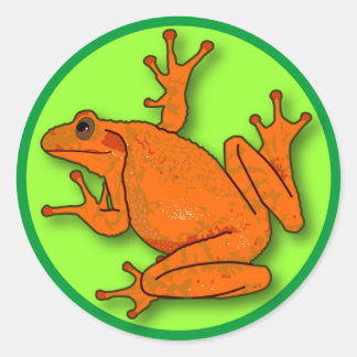 Oranje kikker Sticker