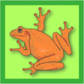Oranje kikkervisje sticker (Voorkant)