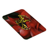 Oranje kikkikker van Dendrobates leucomelas Magneet (Rechterzijde)