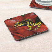 Oranje kikkikker van Dendrobates leucomelas Onderzetter (Linkerzijde)