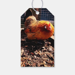 Oranje kip cadeaulabel