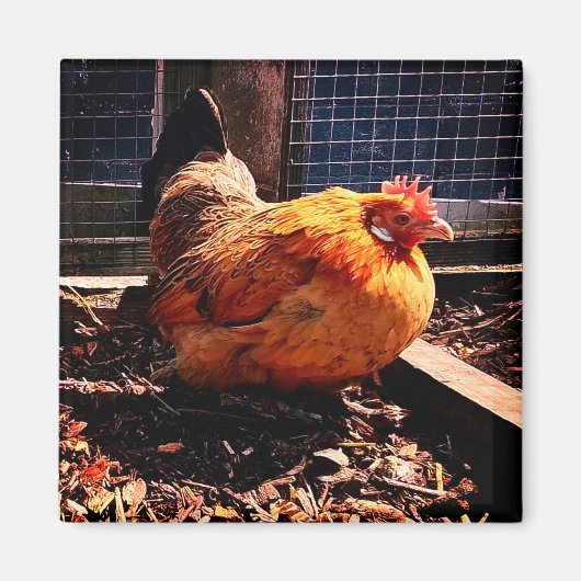 Oranje kip magneet (Voorkant)