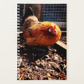 Oranje kip planner (Voorkant)