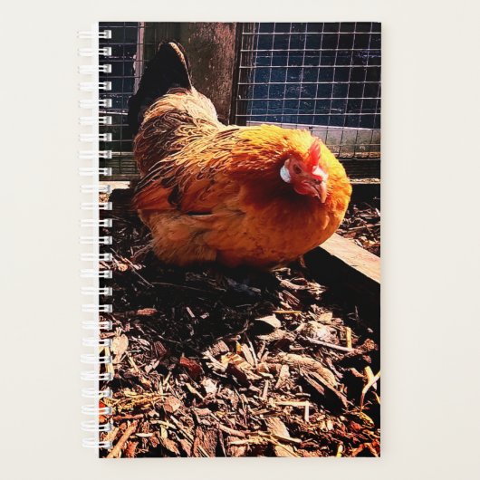 Oranje kip planner (Voorkant)