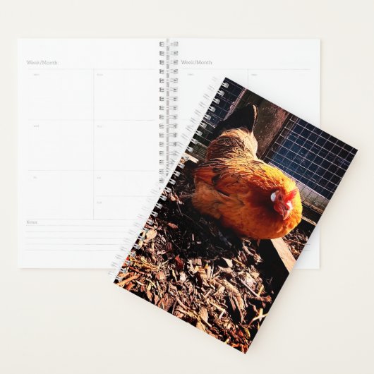 Oranje kip planner (Display)