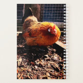 Oranje kip planner (Achterkant)