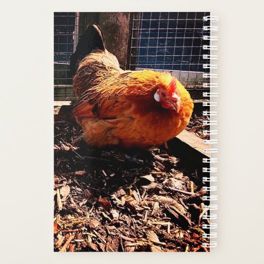 Oranje kip planner (Achterkant)