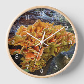 Oranje Kip van de Bossen Paddestoel (Voorkant)