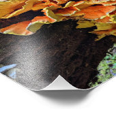 Oranje Kip van de Bossen Paddestoel Foto Afdruk (Hoek)