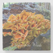 Oranje Kip van de Bossen Paddestoel Stenen Onderzetter (Voorkant)