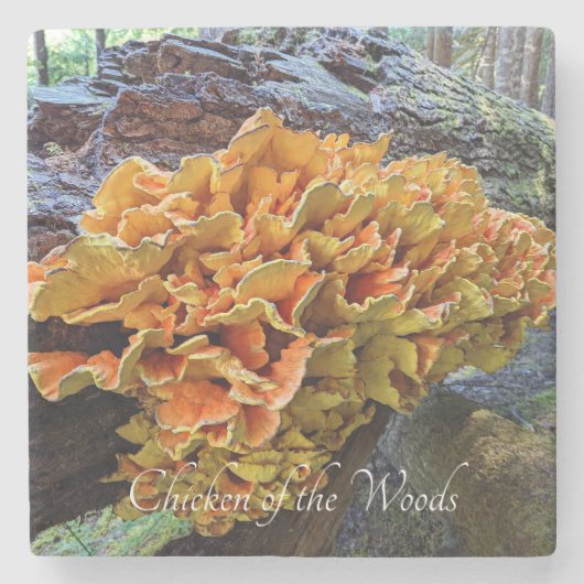 Oranje Kip van de Bossen Paddestoel Stenen Onderzetter (Voorkant)