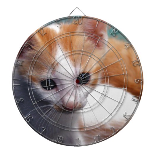 Oranje Kitten-foto Dartbord (Voorkant)