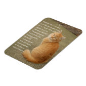 Oranje Kitten-foto met gedicht Magneet (Linkerzijde)