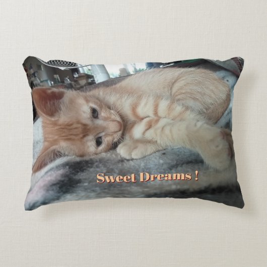 Oranje Kitten , Grappige Tekst , Foto Aanpasbaar Accent Kussen (Voorkant)