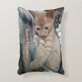 Oranje Kitten , Grappige Tekst , Foto Aanpasbaar Accent Kussen (Voorkant(Verticaal))