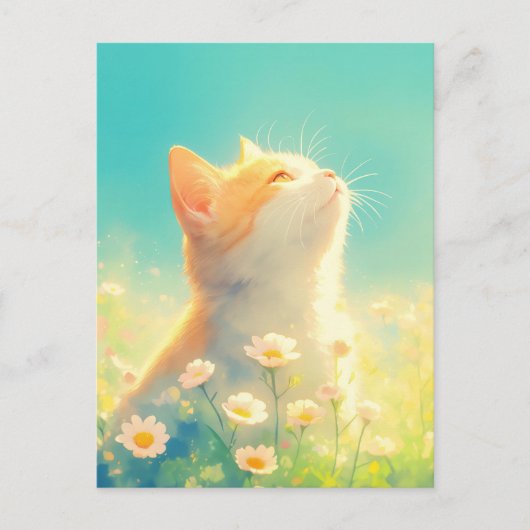 Oranje Kitten in Witte Madeliefjesweide Briefkaart (Voorkant)