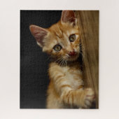 Oranje Kitten Jigzaag Puzzle Legpuzzel (Verticaal)