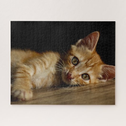 Oranje Kitten Jigzaag Puzzle Legpuzzel (Horizontaal)