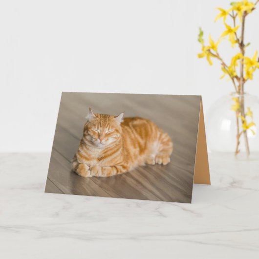 Oranje Kitten Kat Cute Aanpasbare Kaart (Gele Bloem)