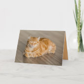 Oranje Kitten Kat Cute Aanpasbare Kaart (Voorkant)