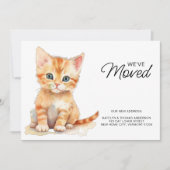 Oranje kitten kat verhuizen Nieuwe woning We zijn  Aankondiging (Voorkant)