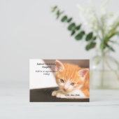 Oranje Kitten Pet Care Afspraak Visitekaartje (Staand voorkant)