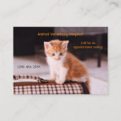 Oranje Kitten Pet Care Afspraak Visitekaartje (Voorkant)