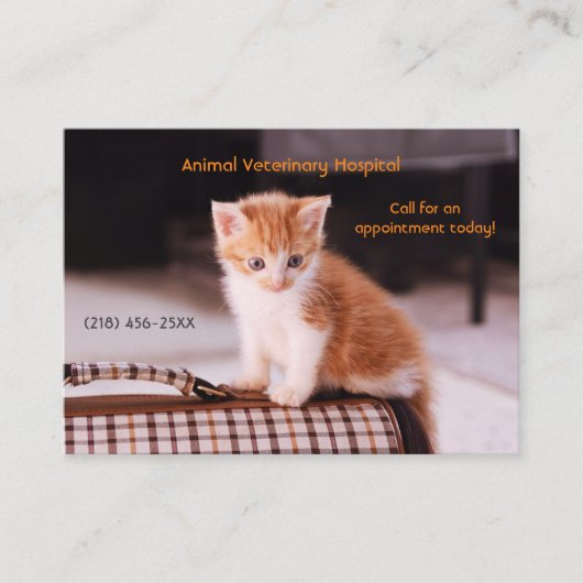 Oranje Kitten Pet Care Afspraak Visitekaartje (Voorkant)