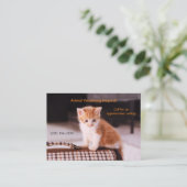 Oranje Kitten Pet Care Afspraak Visitekaartje (Staand voorkant)