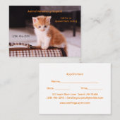 Oranje Kitten Pet Care Afspraak Visitekaartje (Voorkant / Achterkant)