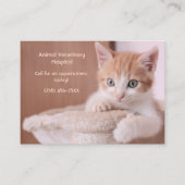Oranje Kitten Pet Care Afspraak Visitekaartje (Voorkant)