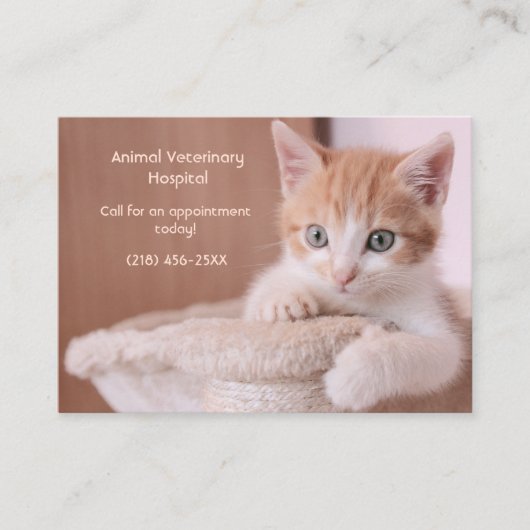 Oranje Kitten Pet Care Afspraak Visitekaartje (Voorkant)