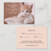 Oranje Kitten Pet Care Afspraak Visitekaartje (Voorkant / Achterkant)