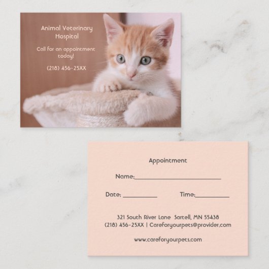Oranje Kitten Pet Care Afspraak Visitekaartje (Voorkant / Achterkant)