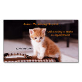 Oranje Kitten Pet Care Services Afspraak Magnetisch Visitekaartje (Voorkant)