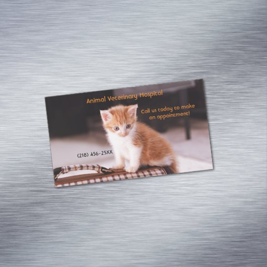 Oranje Kitten Pet Care Services Afspraak Magnetisch Visitekaartje (Voorbeeld)