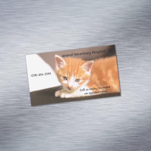 Oranje Kitten Pet Care Services Afspraak Magnetisch Visitekaartje (Voorbeeld)