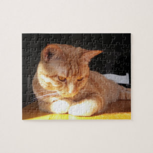 Oranje Kitten Puzzle Legpuzzel
