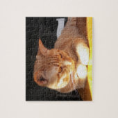 Oranje Kitten Puzzle Legpuzzel (Verticaal)