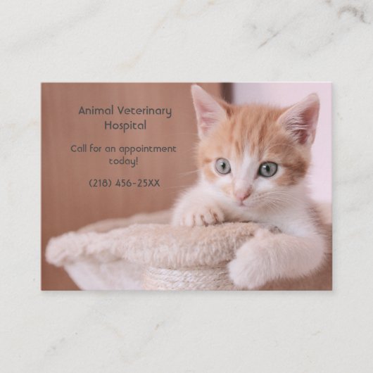 Oranje Kitten Roze Pet Care Afspraak Visitekaartje (Voorkant)