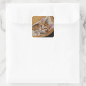 Oranje kitten verscholen in bed vierkante sticker (Tas)