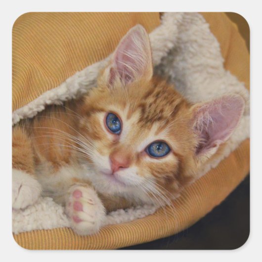 Oranje kitten verscholen in bed vierkante sticker (Voorkant)