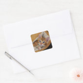 Oranje kitten verscholen in bed vierkante sticker (Envelop)
