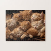 oranje kittens slapen op een stapel legpuzzel (Horizontaal)
