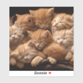 Oranje kittens slapen op een stapel sticker (Vel)