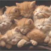 Oranje kittens slapen op een stapel sticker (Voorkant)