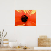 Oranje klaproos poster (Keuken)