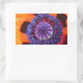 Oranje klaproos van dichtbij rechthoekige sticker (Tas)